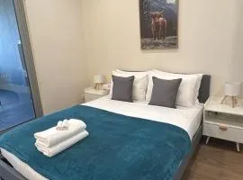 Spacious Modern Retreat in Sydney Olympic Park