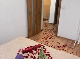 Nowy Apartament z jacuzzi w Bielsku-Białej