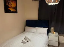 Modern room w FastWifi, Netflix Kitchen Garden view