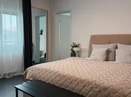 Comfort Apartment Midami