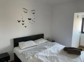 Inchiriez apartament central cu 1 camere et 4