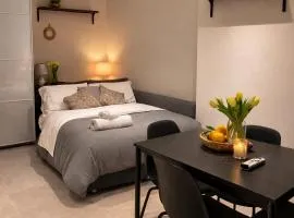 Studio in the Heart of Piacenza Piazza Cavalli