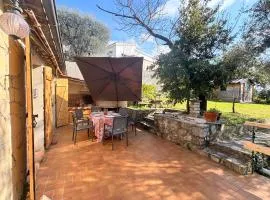 The Olive Grove - Sea View