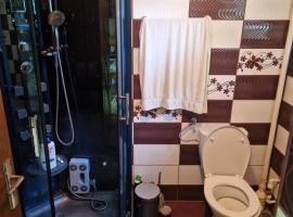 Casa LarisaAndrei, hotel v destinaci Bîrsău