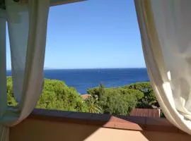 Magic View in Tuscany