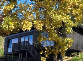 Nomad Hill Cabins, hotell sihtkohas Rugineşti