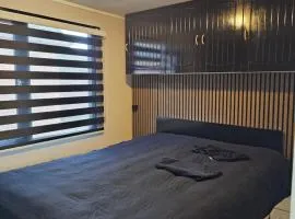 Houten Chalet nabij Beekse Bergen