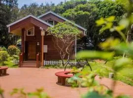 石头会唱歌湄洲岛两岸艺术民宿