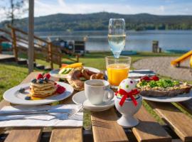 Amenity Hotel & Resort Lipno, hotel u gradu Lipno nad Vltavou