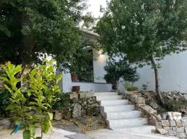 Casa La Silva
