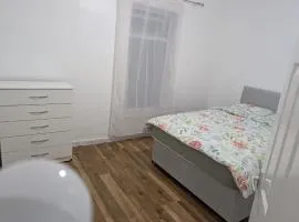 Close to Everton Stadium