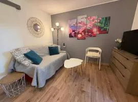 T2 RDC à Canet en Roussillon Europa 4 pers ,piscine,clim, tennis, parking