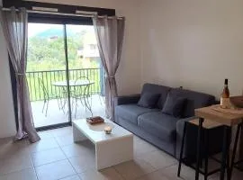 Studio l'aliva - avec balcon - résidence paisible