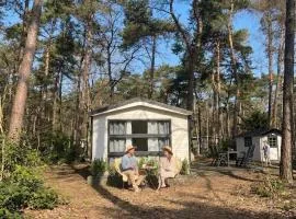 Sfeervol boshuisje op de Veluwe Vossenberg