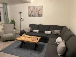 Appartement-Hollenstein-mit-Dachstudio-auf-2-Etagen