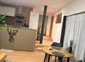 Apartment am Blankenburger Tor Saalfeld