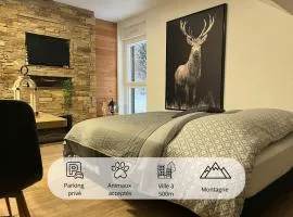 Studio Chalet des Pistes