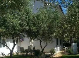 Apartments with garden