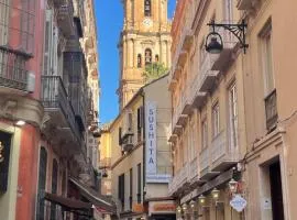 Catedral Larios Centro