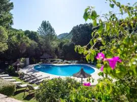 Diquecito Wellness Clinic & Resort