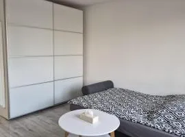 Kawalerka Młodych Patriotów