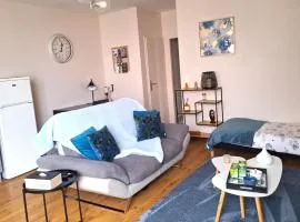 CDG STOPOVER Appartement, 10 min Charles de Gaulle,Parc Asterix,Paris