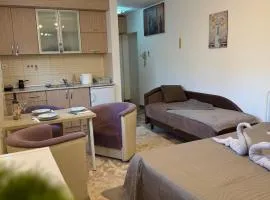 Apartman Kitanović 2 Vrnjačka Banja