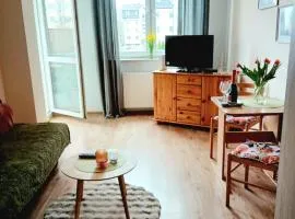 Przytulny apartament blisko jeziora