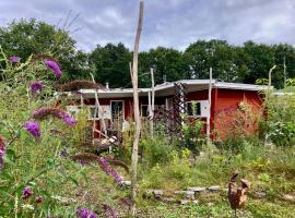 Chalet Vlinder, natuurlijk genieten in Drenthe!, Hotel in Anloo
