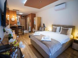 Studio DORA SS, hotel i Stari Banovci