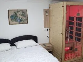 Petrovaradinski Dvor