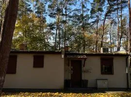 Domek na Morenowym Wzgórzu, nad jeziorem