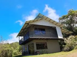 Monteverde Cecropia Paradise