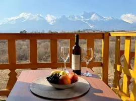 Apartmán Mountain View - Tatragolf C
