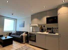 Affordable Luxury Apt - Hotel Vibe - Heart of Voss, Hotel in Vossevangen