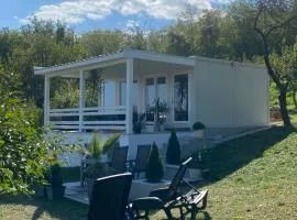 Studio Sky - Bukulja Panorama Arandjelovac