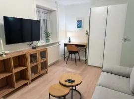 1 BR studio apartment for 2 Guests in Torshavn