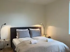 Luxery Lakeview Apartment- Beautiful Private Terrace