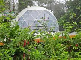 Rio Celeste Jungle Glamping