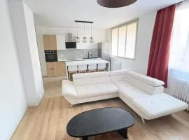 Spacieux appartement quartier Coty