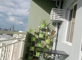 Verdon Parc Butterfly Haven