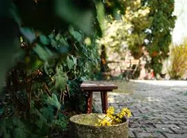 Fehér Ház Vendégház