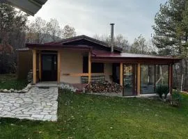 Вила Дивото