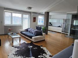 Modern Top Floor Loft, Private Terrace, Near Center & Free Parking, hotel din Trnávka
