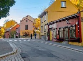 Window To The Most Iconic Old Street Oslo city Apartments with lift and free parking