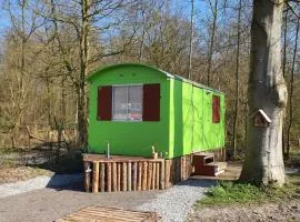 Pipowagen Doe Maar Groen