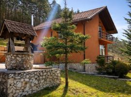 Mystery Forest Retreat near Cluj, Micesti, Hotel in Miceşti