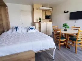 BLEUE OCEANE - Studio, Piscine commune - U65