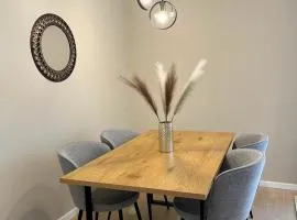 Central Loft Mimozelor