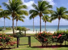 Lauris - Résidence Savannah, 1 ou 2 Chambres avec cuve